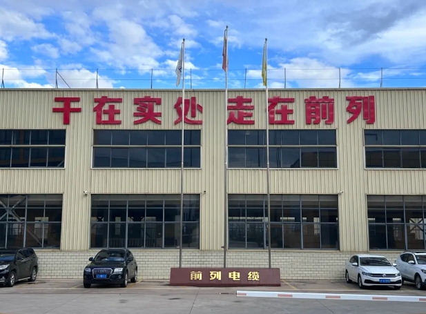 电线电缆智能制造新模式应用项目